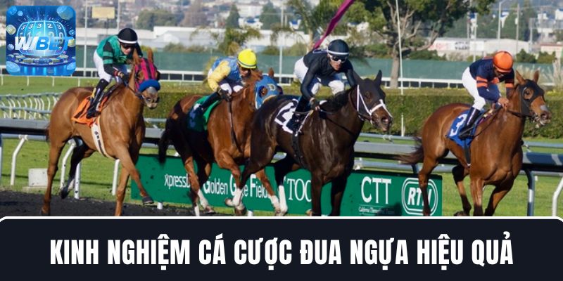 Áp dụng các kinh nghiệm cá cược đua ngựa hiệu quả