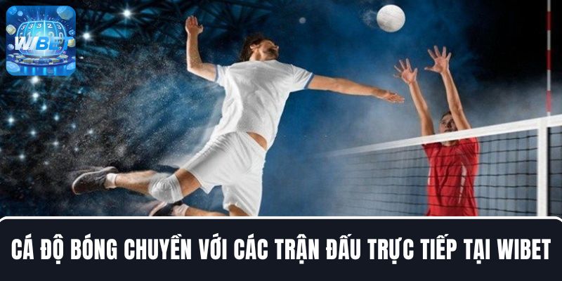 Cá độ bóng chuyền với các trận đấu trực tiếp kịch tính tại WIBET