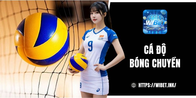 Cá độ bóng chuyền
