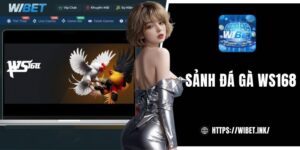 Đá gà WS168