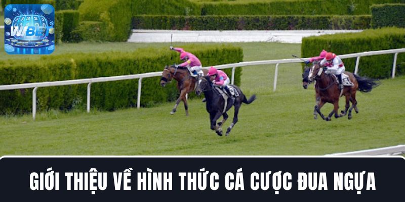 Đôi nét giới thiệu về hình thức cá cược bộ môn đua ngựa