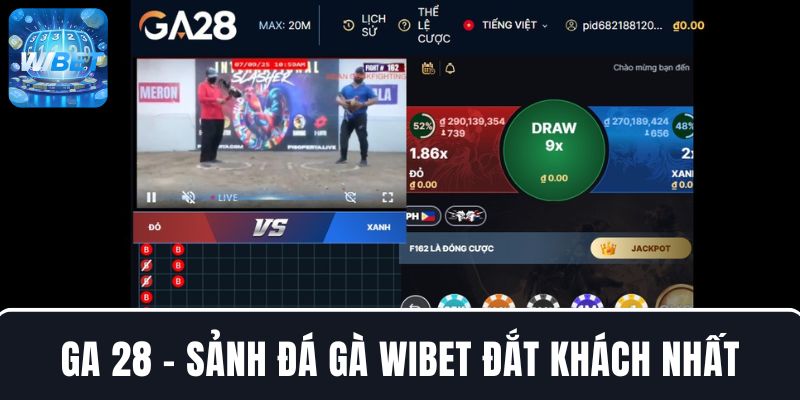 GA28 - Sảnh đá gà “ăn khách” nhất tại nhà cái WIBET 
