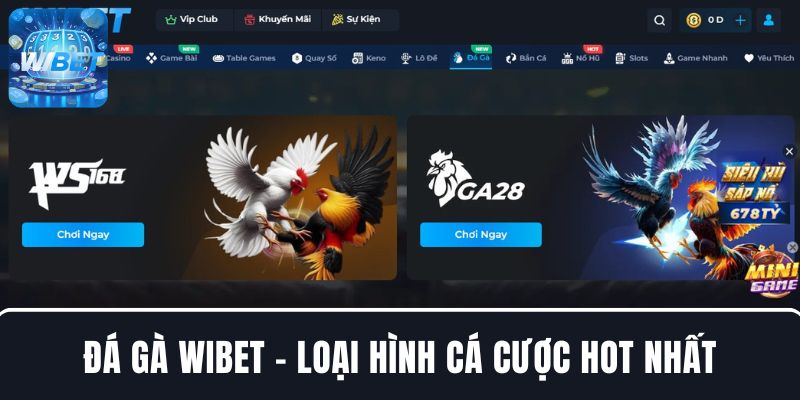 Giới thiệu đá gà WIBET - Loại hình cá cược hot nhất tại nhà cái