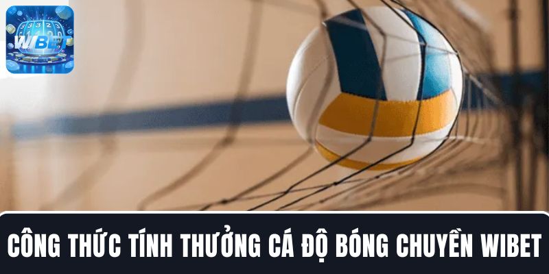 Hướng dẫn cách tính thưởng khi cược thắng trong bóng chuyền WIBET