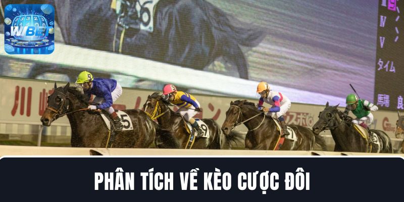 Phân tích về kèo cược đôi  - Cá cược đua ngựa