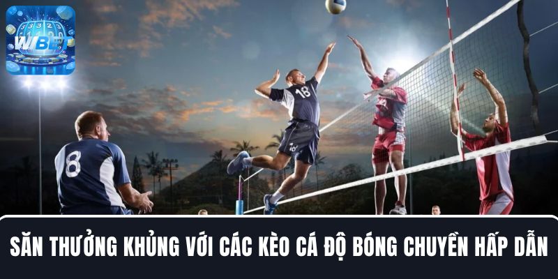 Săn tiền thưởng khủng với các loại kèo cá độ bóng chuyền hấp dẫn tại WIBET