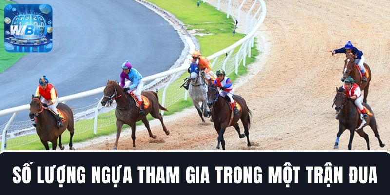 Số lượng ngựa hợp lệ tham gia cuộc đua