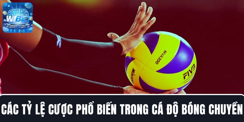 Tìm hiểu về các tỷ lệ cược phổ biến trong cá độ bóng chuyền