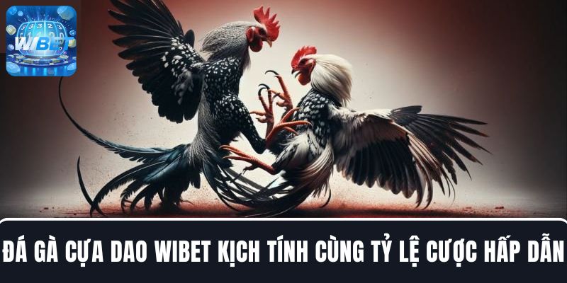 Trải nghiệm đá gà cựa dao kịch tính cùng tỷ lệ cược hấp dẫn tại WIBET