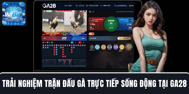 Trải nghiệm trận đấu gà trực tiếp sống động tại GA28 WIBET